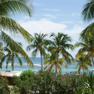 Bleu Coco Guadeloupe